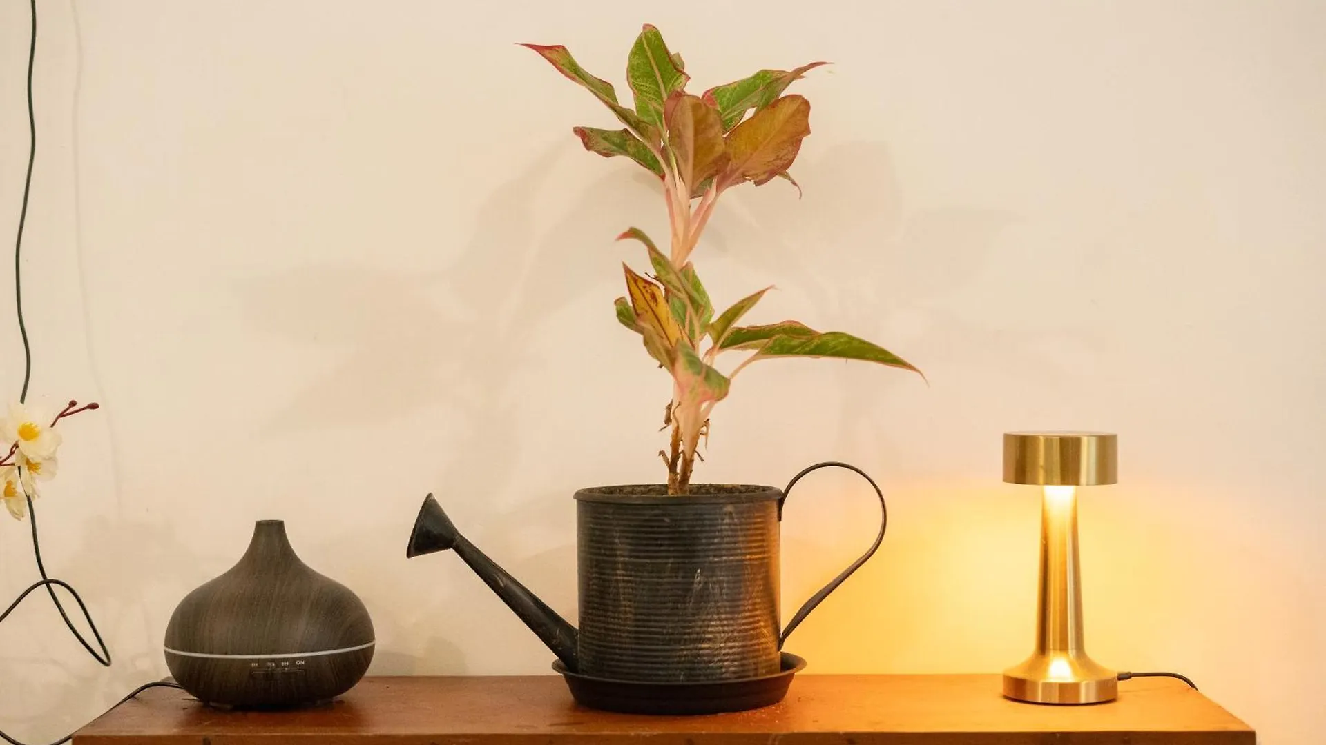 Homestay Hexa Retreat Space - Airport Thiruvananthapuram
